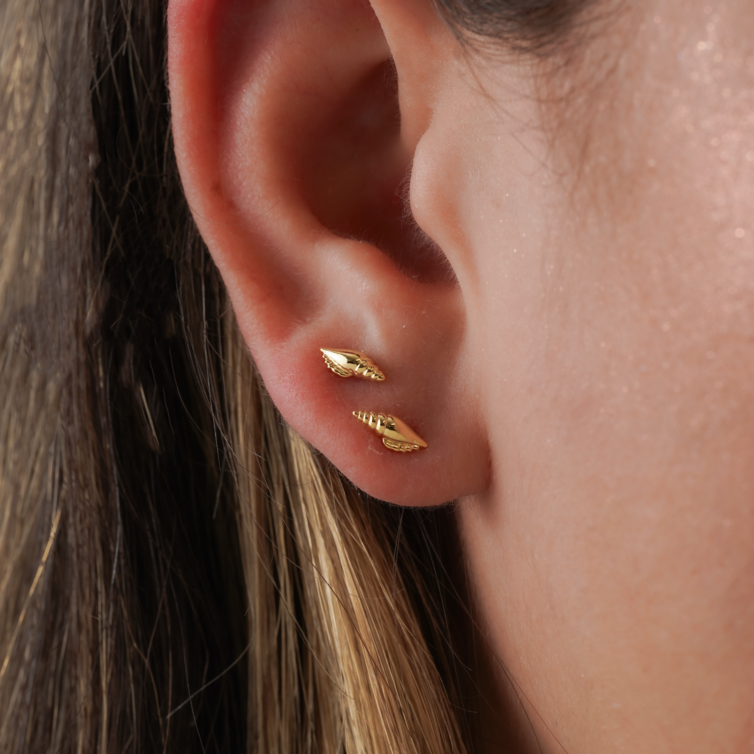 Topo Shell