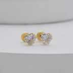 Topo Amour Rosca IT 6mm