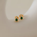 Topo Bicolor